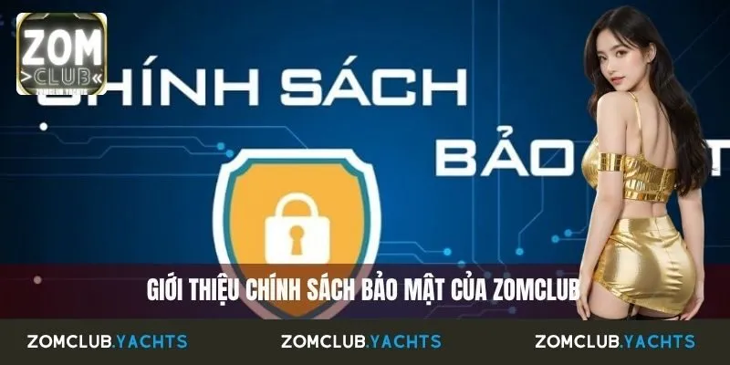 Giới thiệu chính sách bảo mật của Zomclub