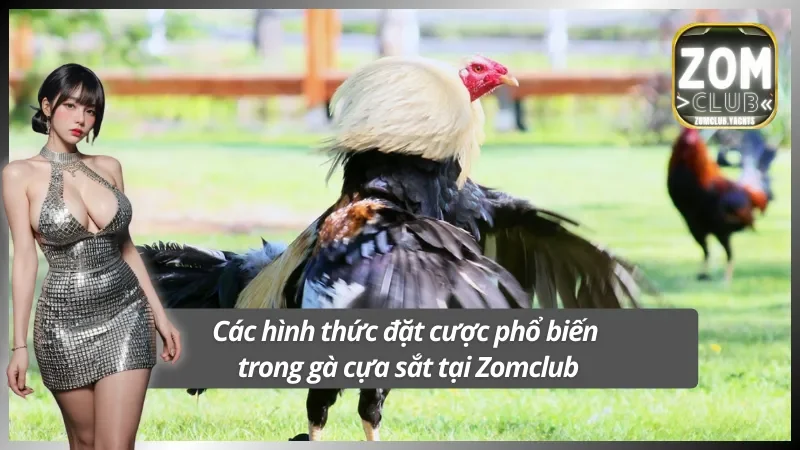 Những hình thức cược áp dụng luật đá gà cựa sắt