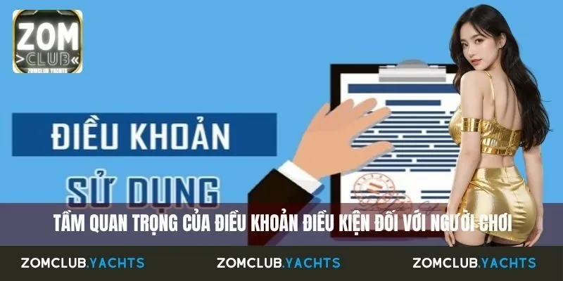  Tầm quan trọng của điều khoản điều kiện đối với người chơi
